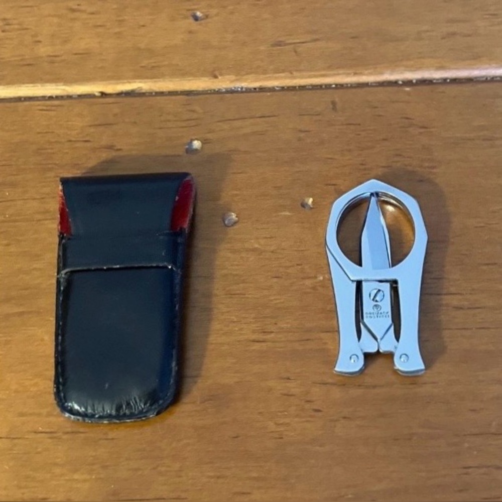 Foldable Scissors and Case